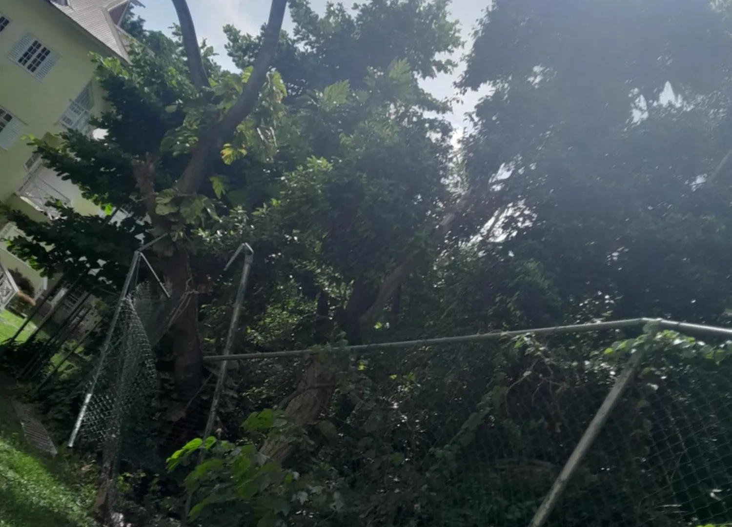 Lägenhet Karina Villa Ocho Rios